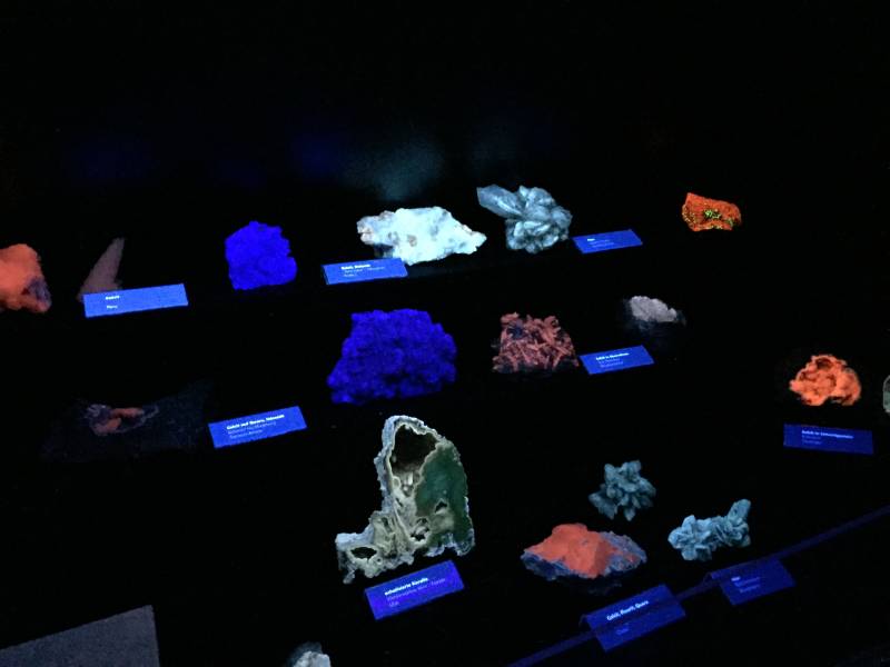 Kurzwellenstrahler für das Museum – wofür braucht man das?